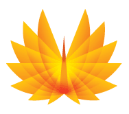 Phoenix Construction