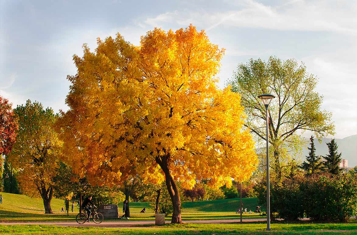 Community | Phoenix Construction